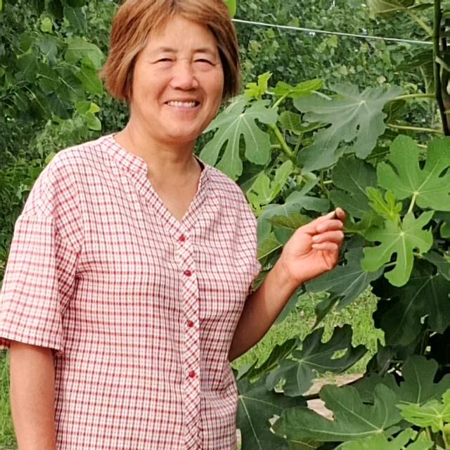 悦悦妈（小号)