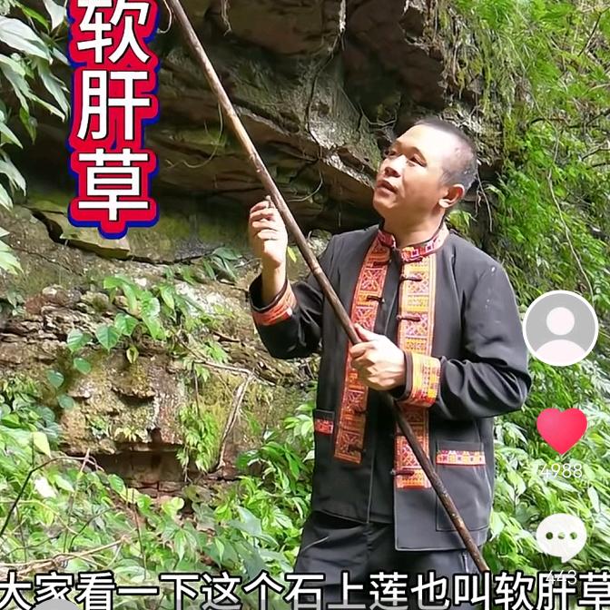 俗人小九（养龟记）