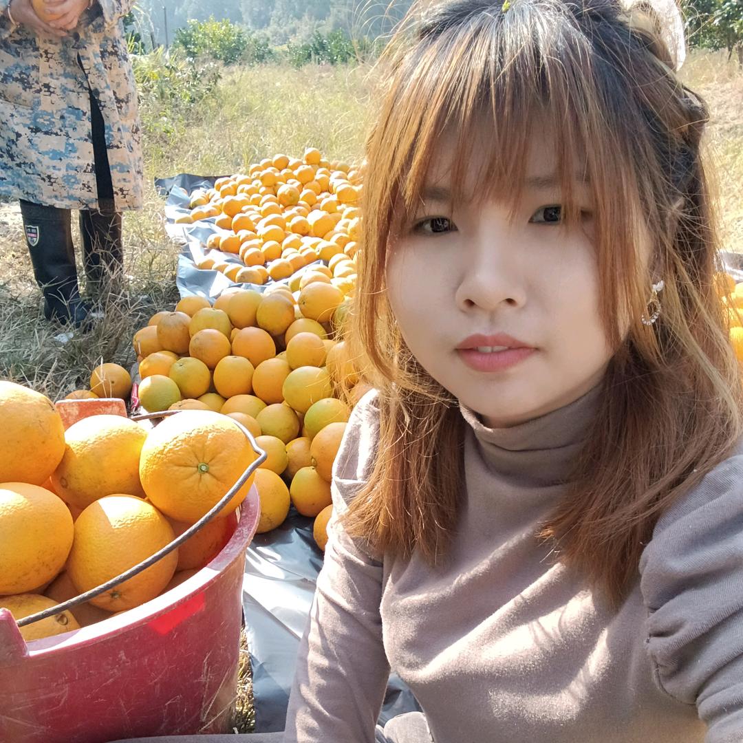 段段的金元宝