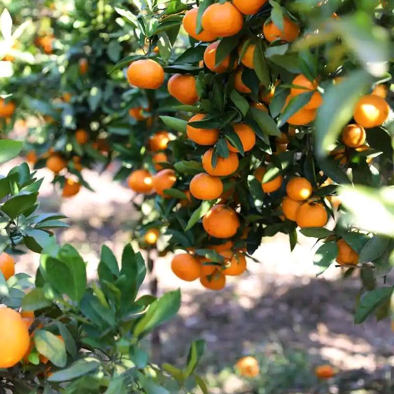 广西桂林盈收贸易有限公司