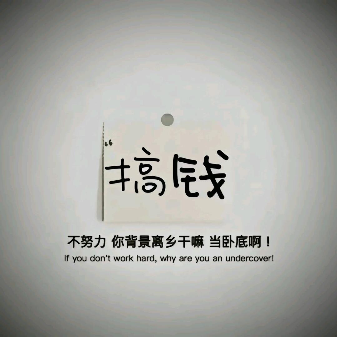 我的名字叫金总