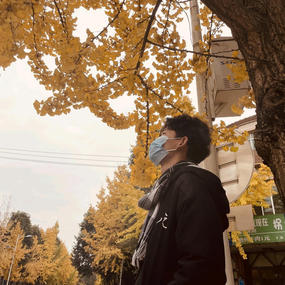 木子李  鱼头