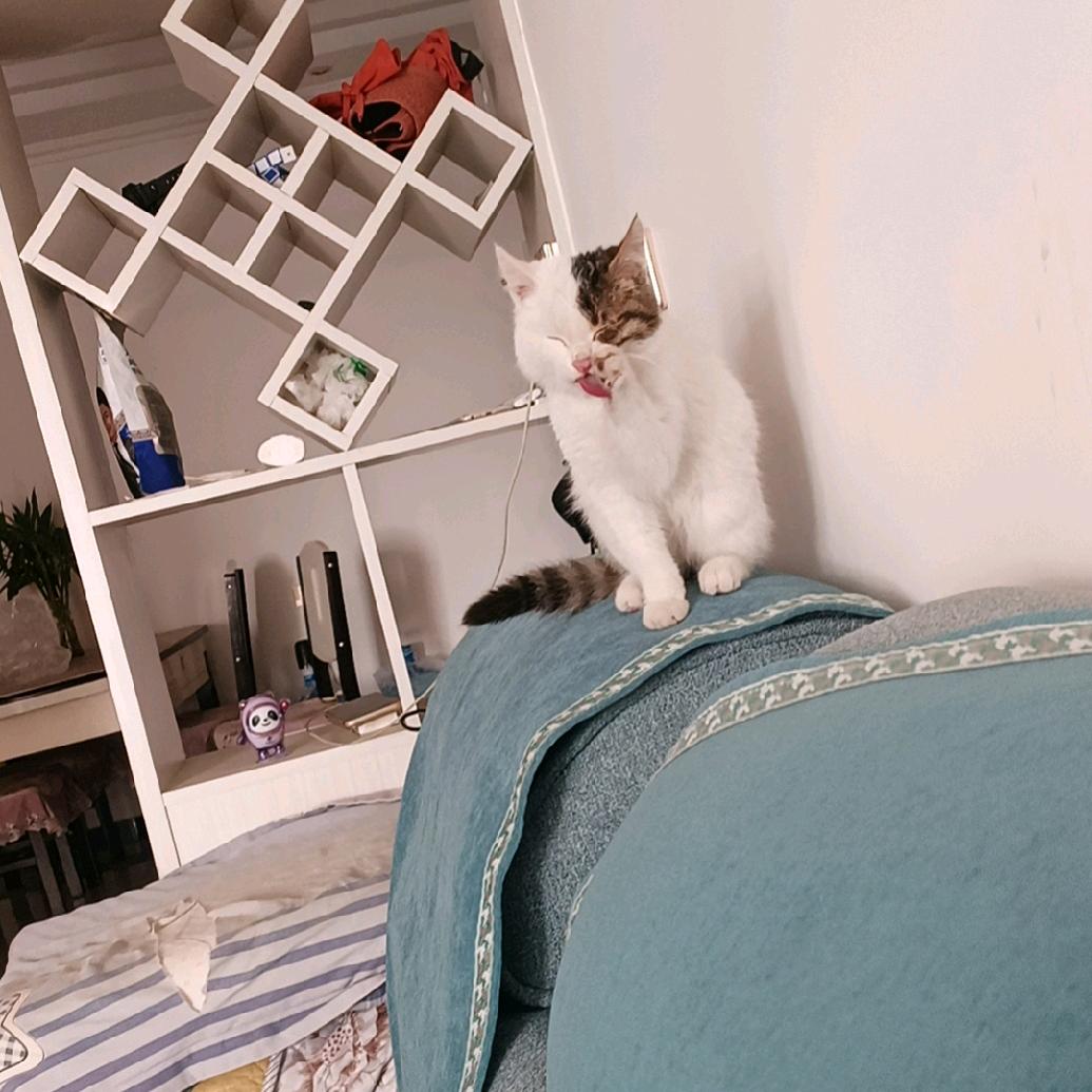 ☚༺余生༒我༒独行༻☛