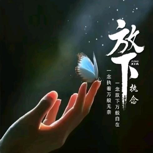 💫放下💫