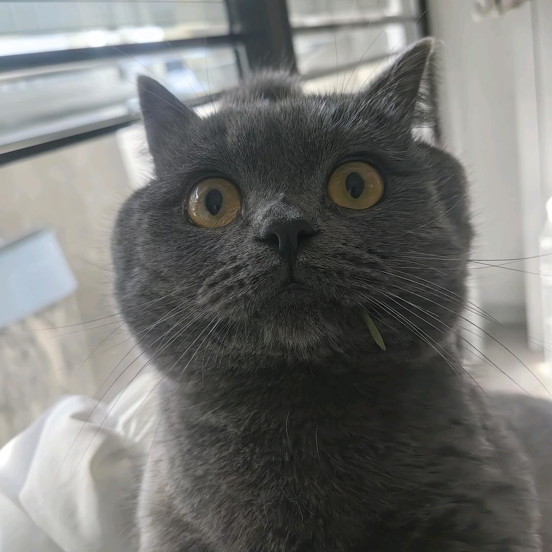 心❤随风起