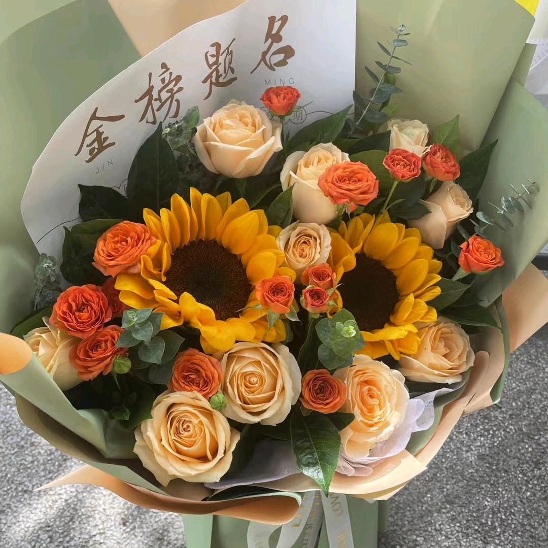 陕西中高考升学——小阳老师