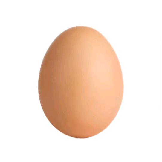 鸡蛋🥚