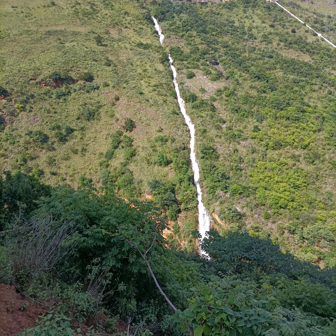 随缘