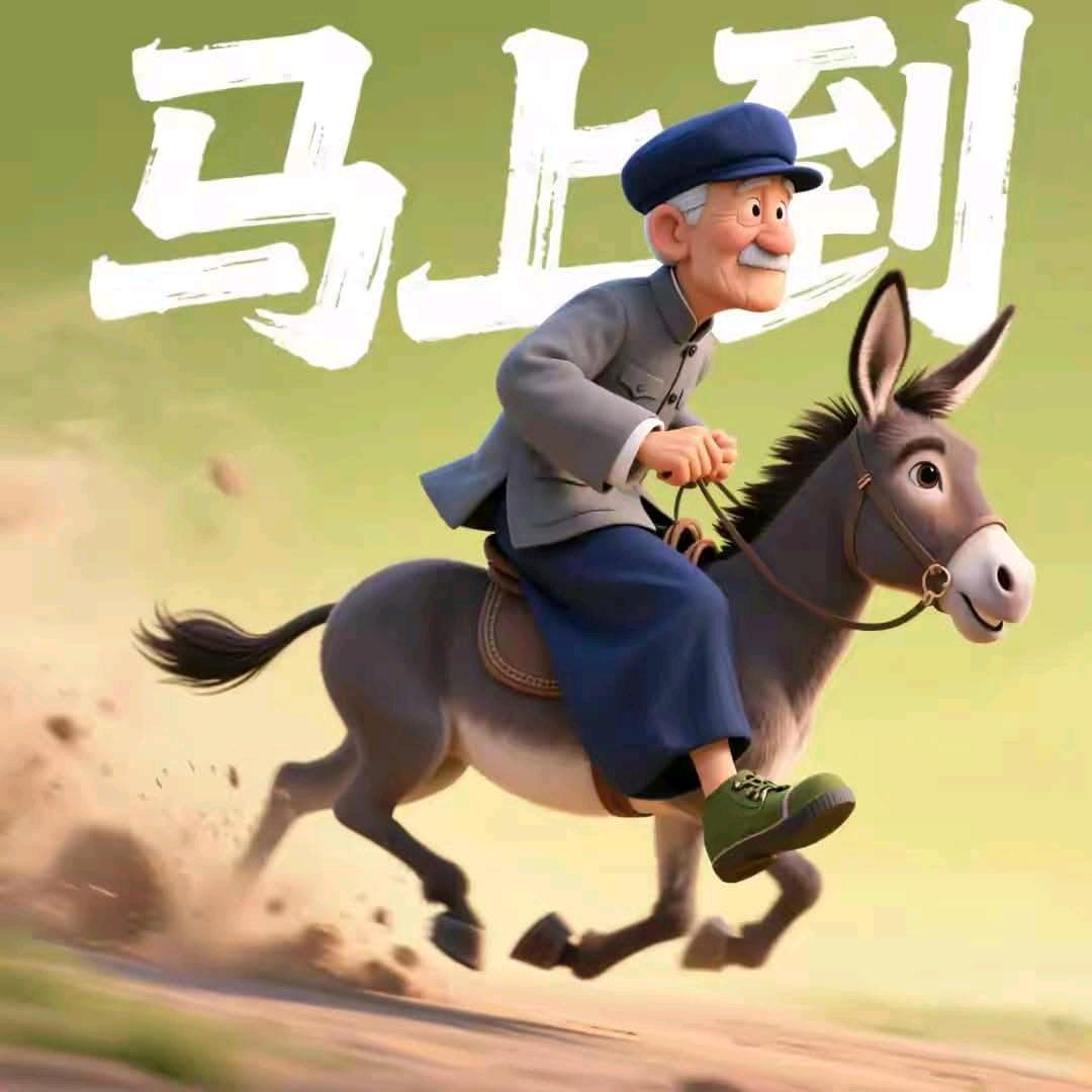 成功從來不是運氣