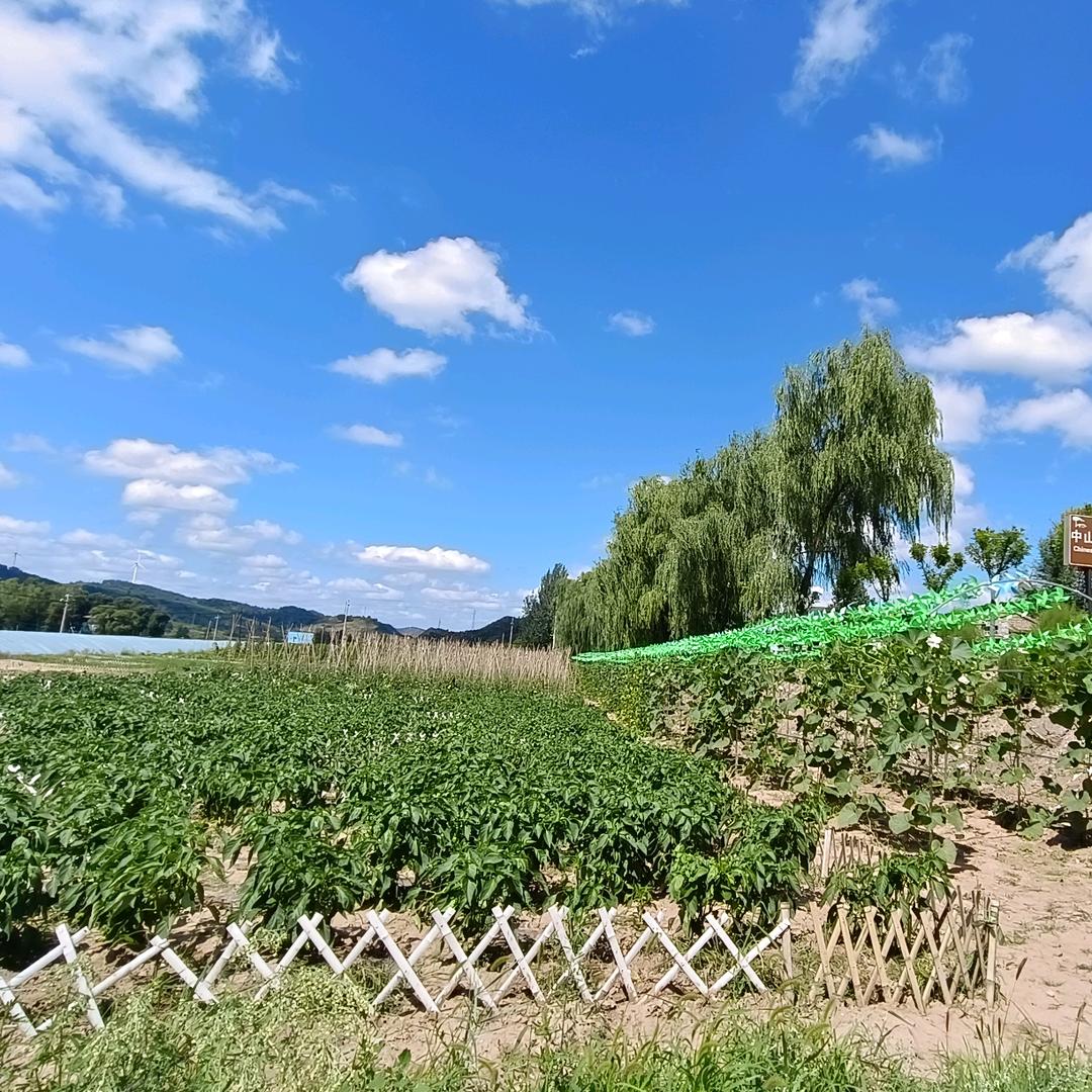 小王☻村支书
