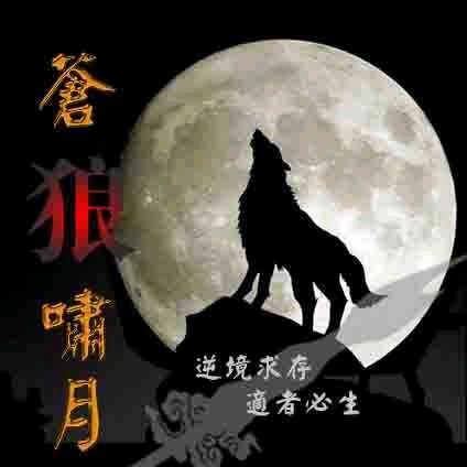 @狼哥有话说