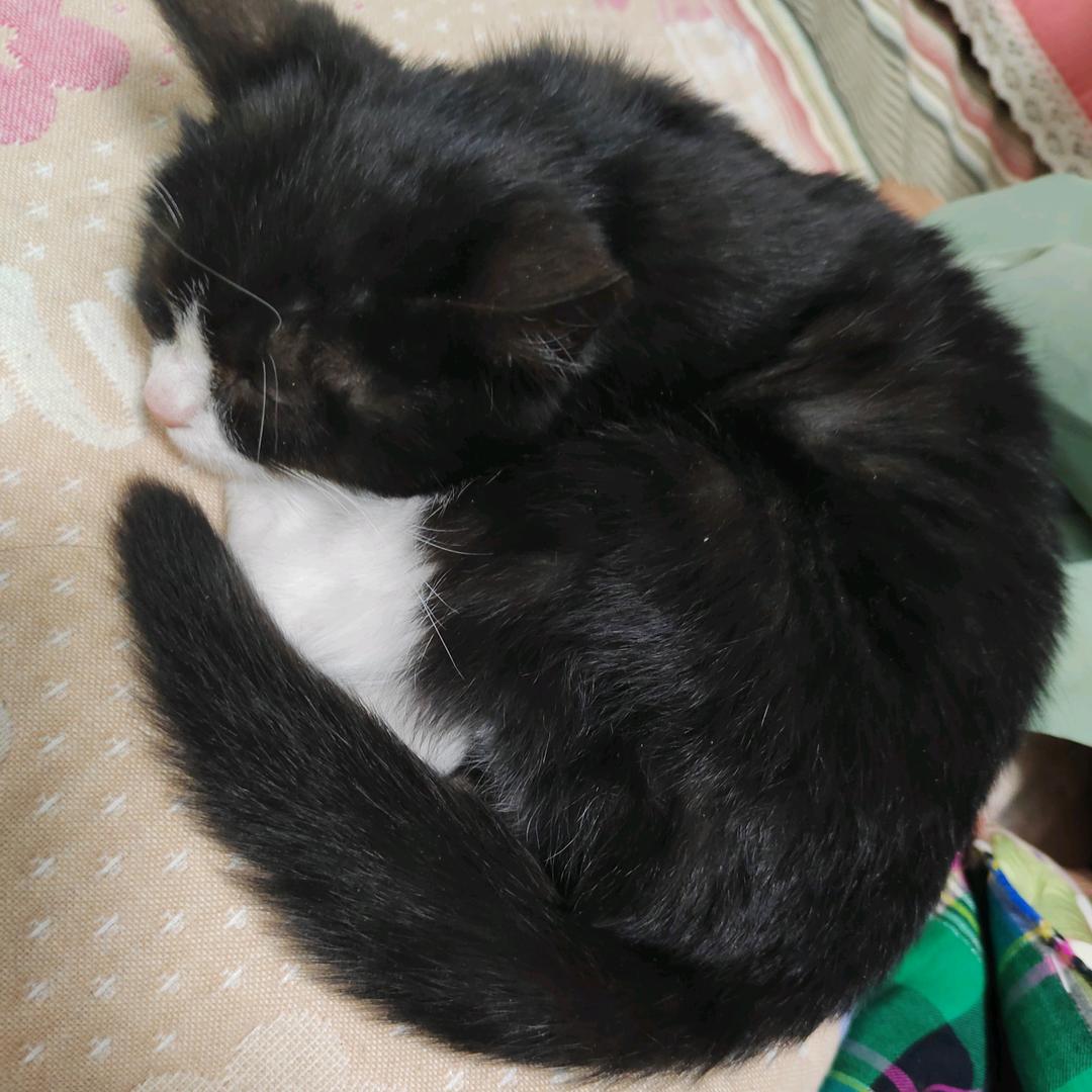 泊头市佰尊商贸店（个人独资）