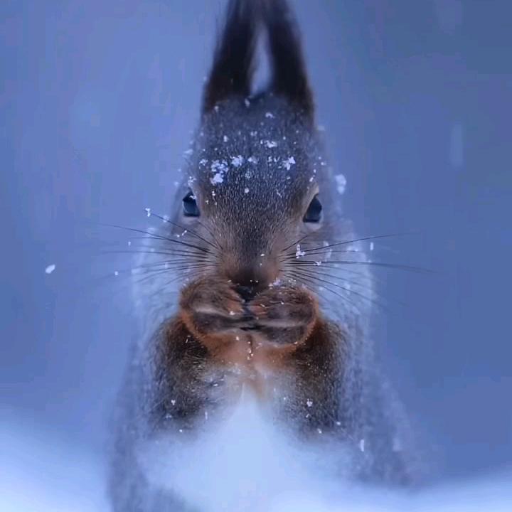 繁花落尽🍀🍀🍀拒私聊
