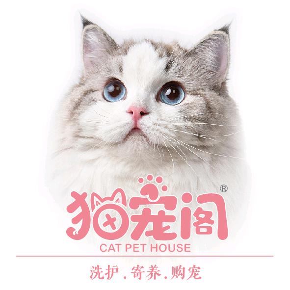 猫宠阁.猫舍