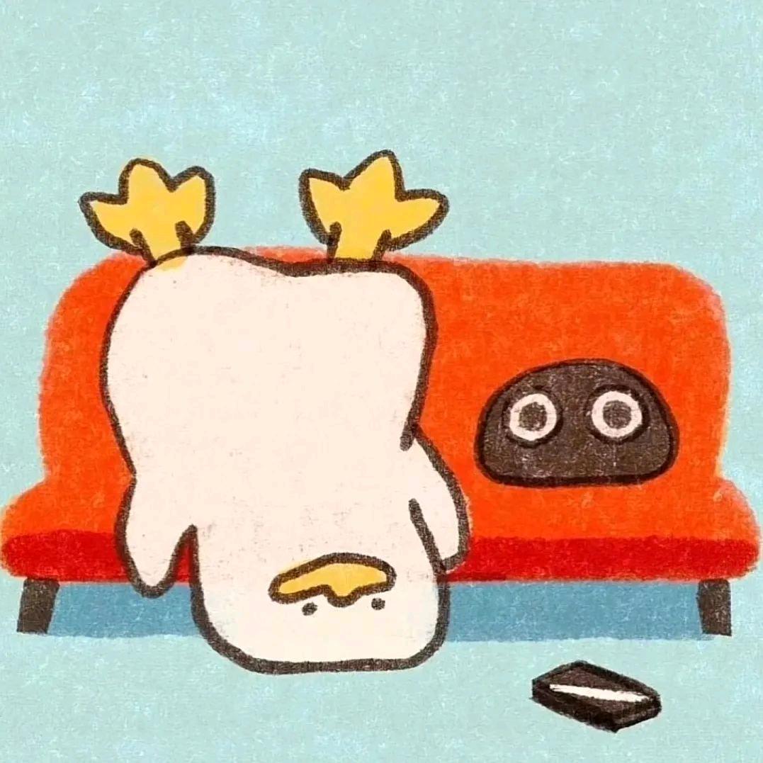 沙卡拉卡卡卡卡