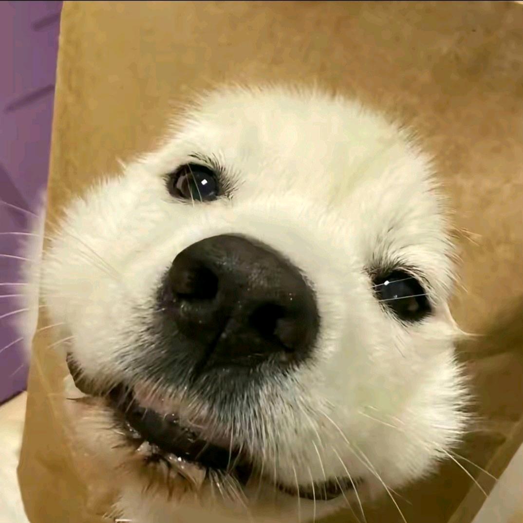 渡