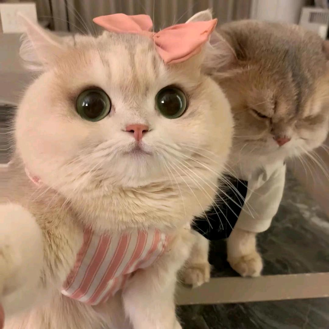婷婷宝贝