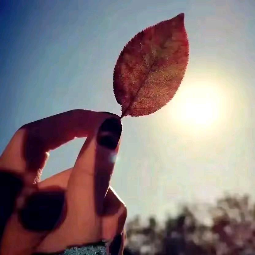 ࿐达桑🍁