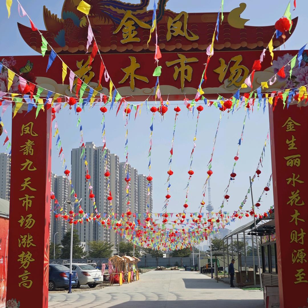 汕头花姐玩招租