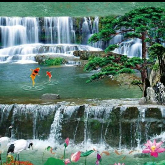 $$$前程似锦(๑Ő௰Ő๑)