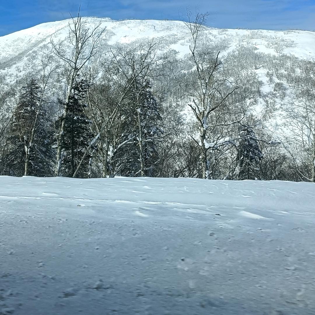 小五