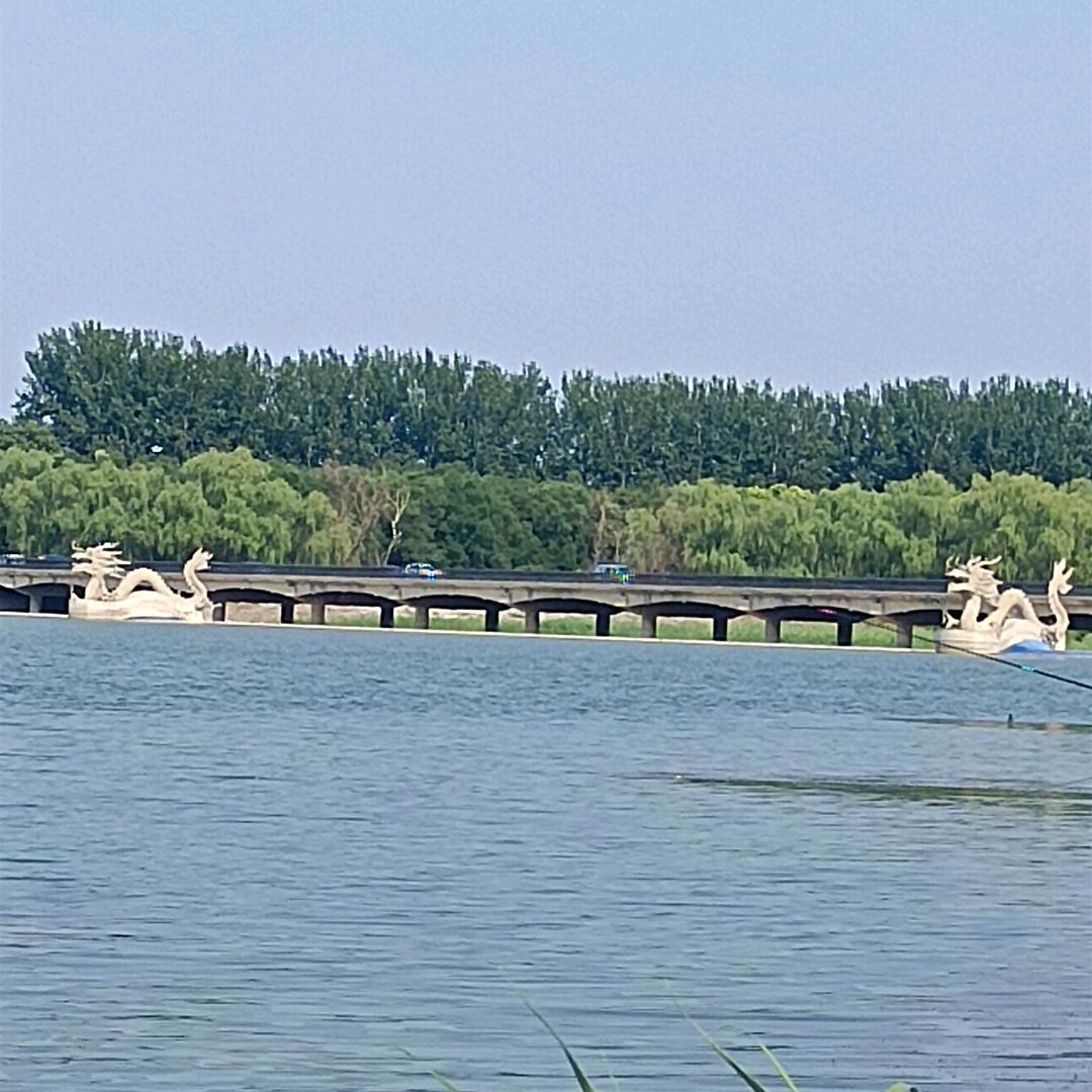 康康