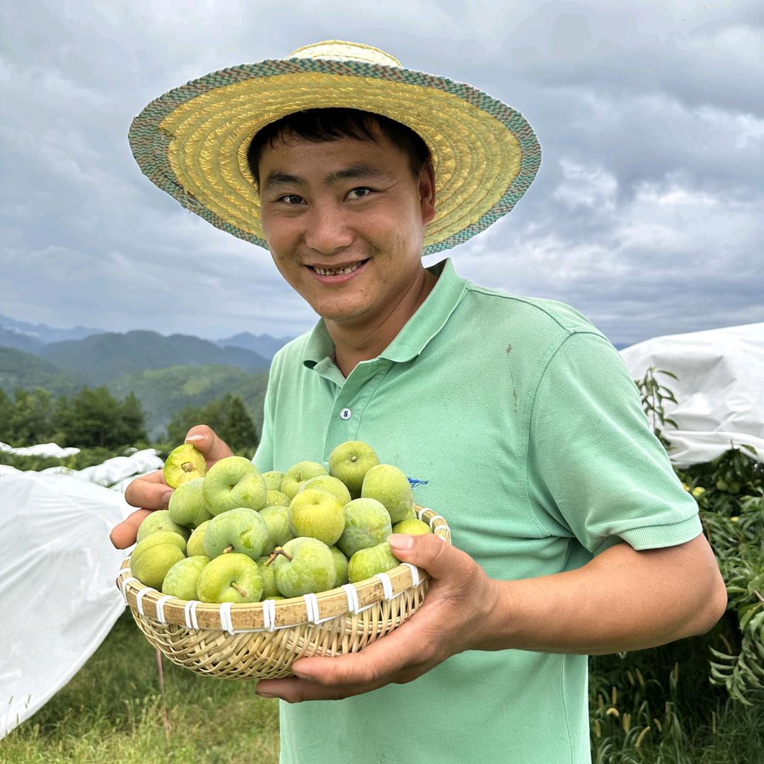 山哥（团队招人）