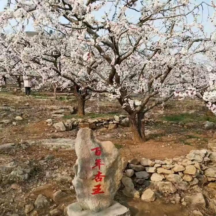 用拼搏书写未来