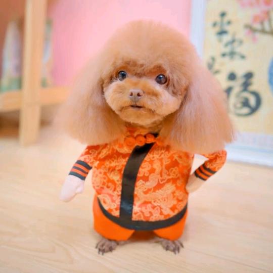 小快乐😊😊😊