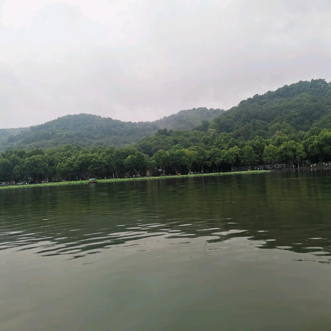 张哥建材销售