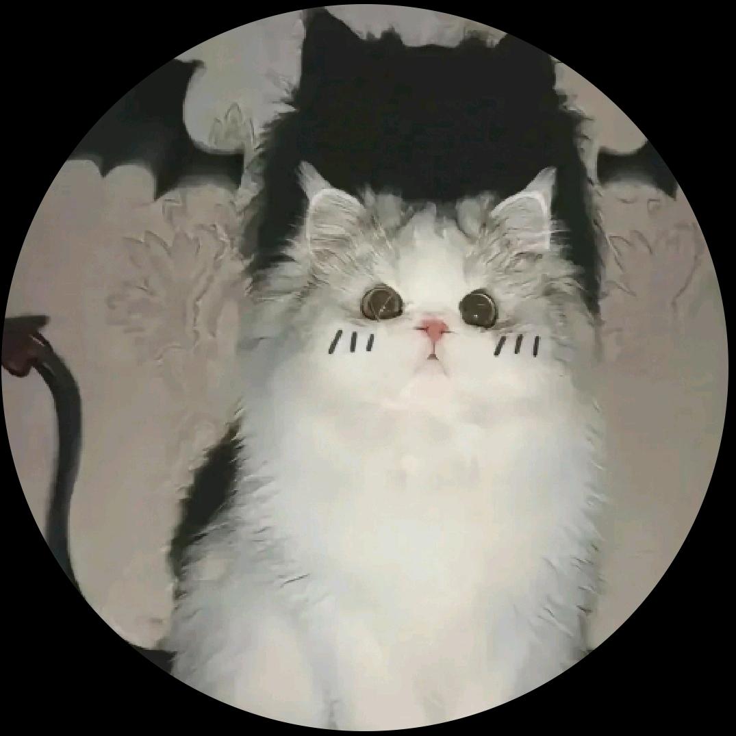 wsw