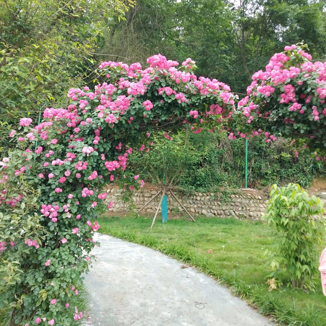 伤透心的人忘不掉的恨