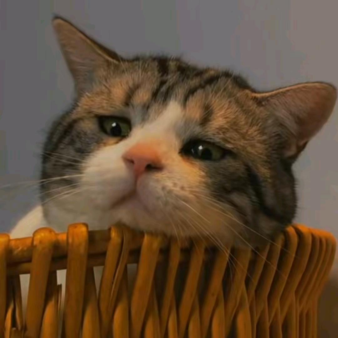 银蝉子