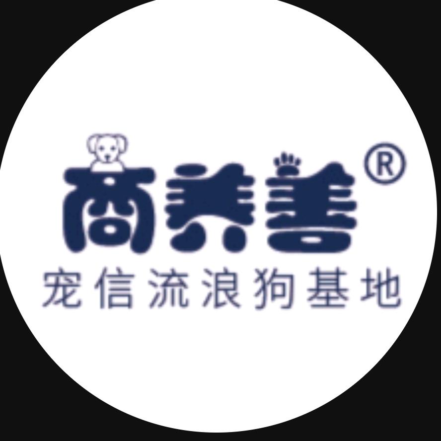 宠信流浪动物基地