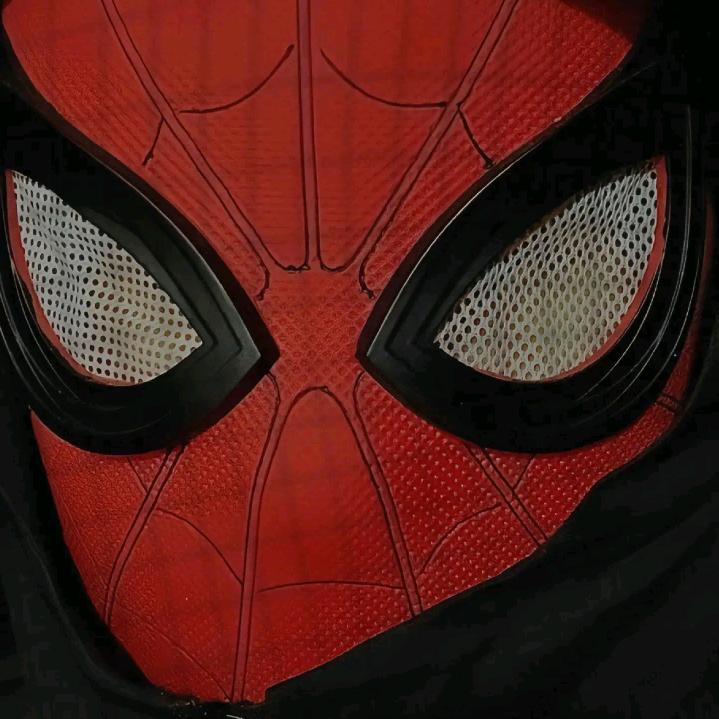 看夜里海棠花开