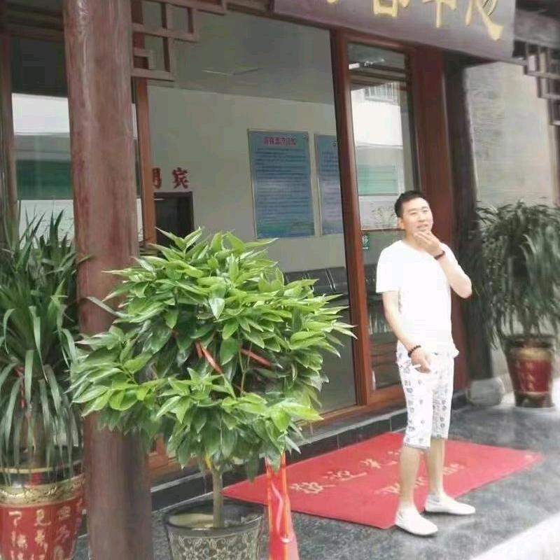 茶农、菜园子《老山坡果茶园》