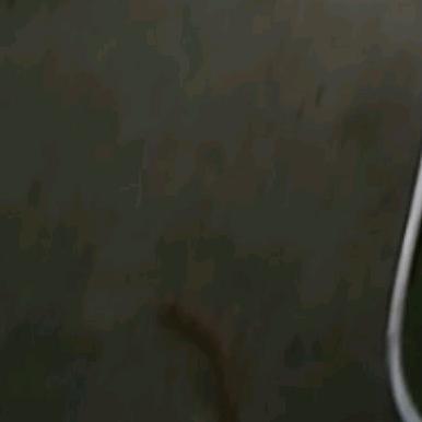 欧莫