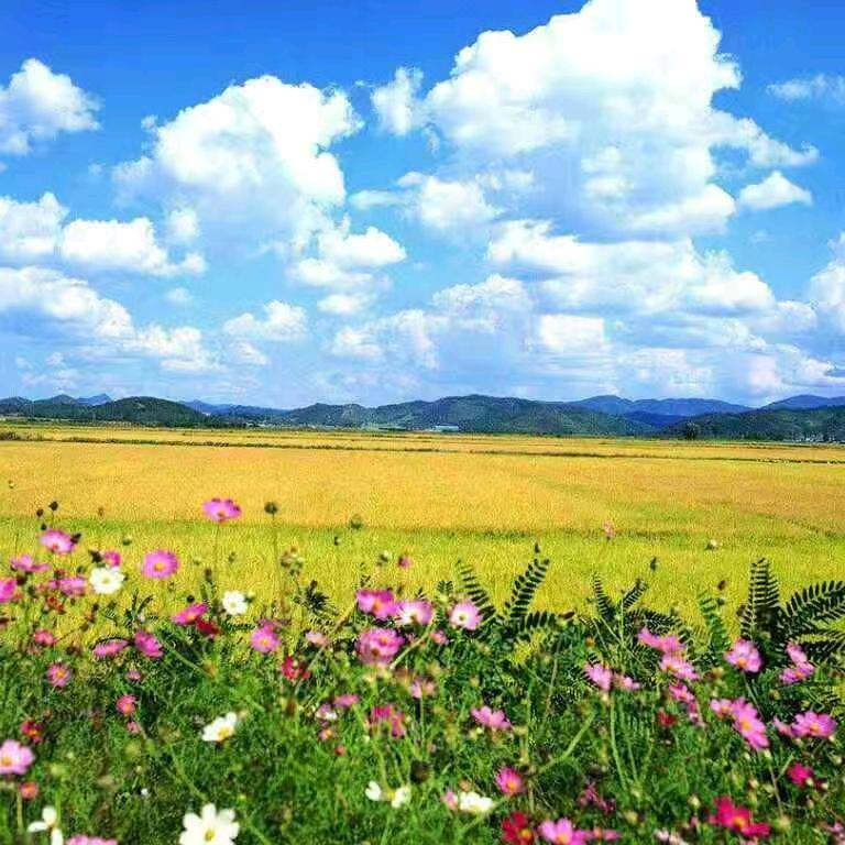 胜哥暴富吖