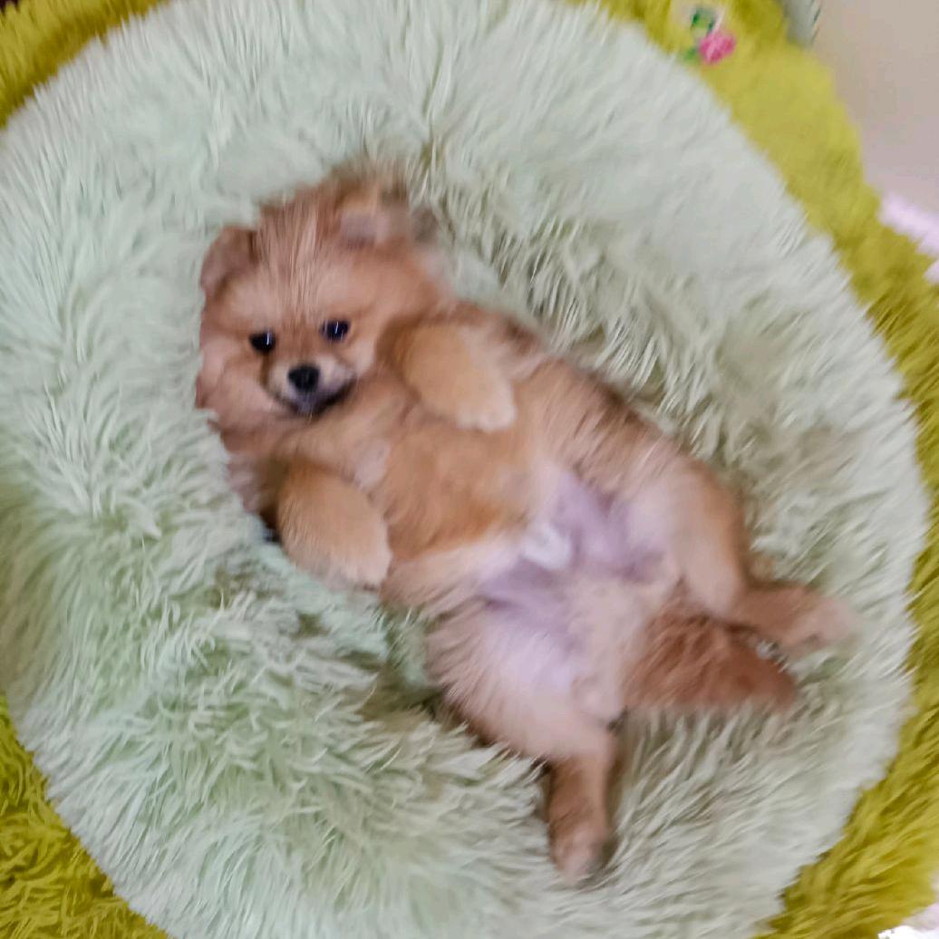雅娟