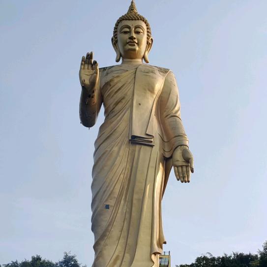 木头
