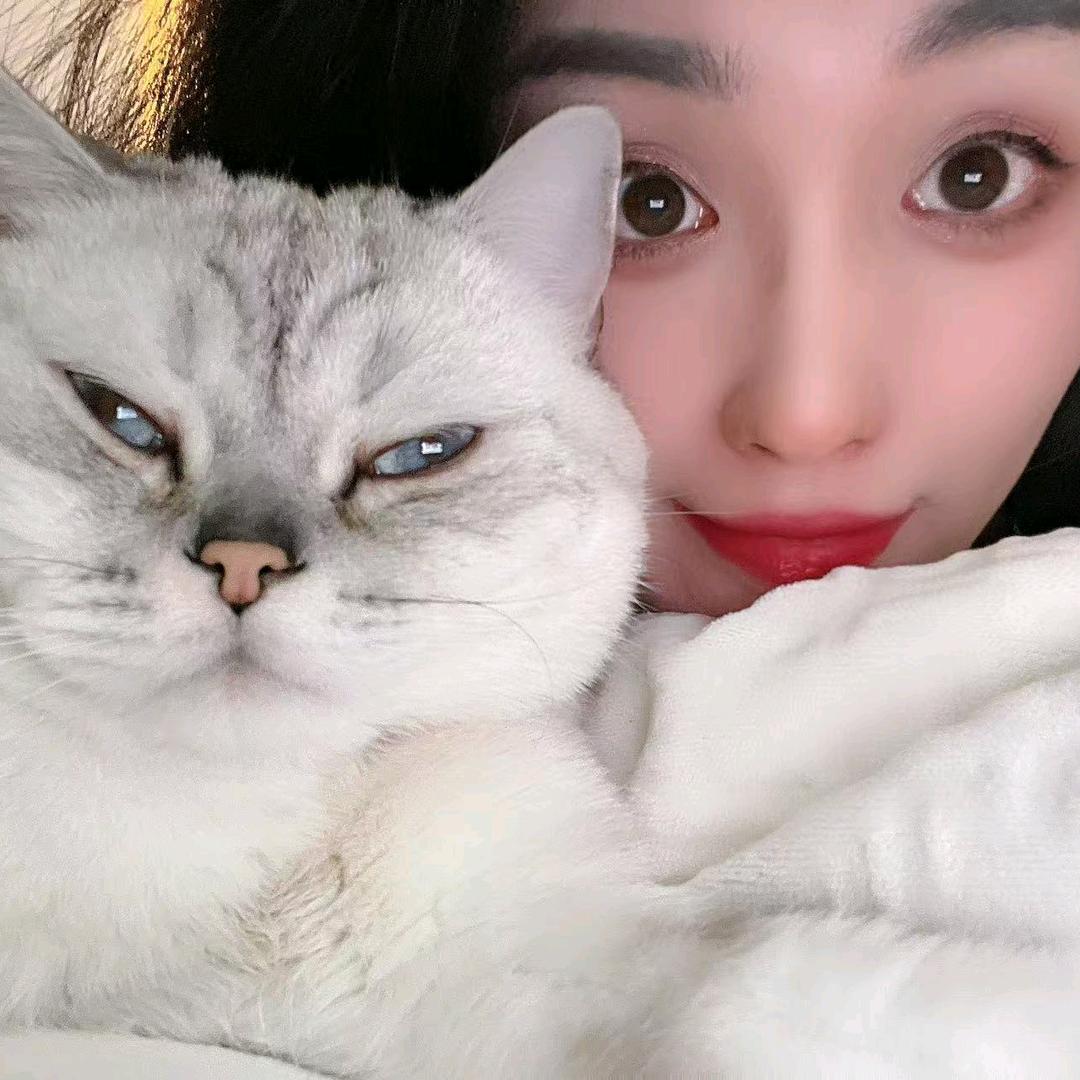 美少女战士（美少女壮壮）