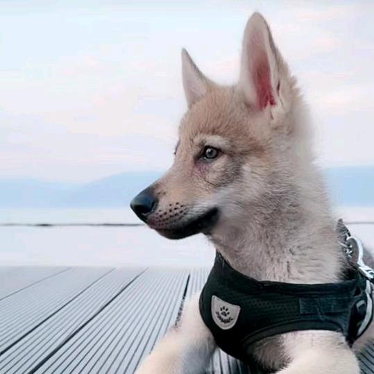 💰梦幻💕 天使💞⁰⁵⁰⁶💰