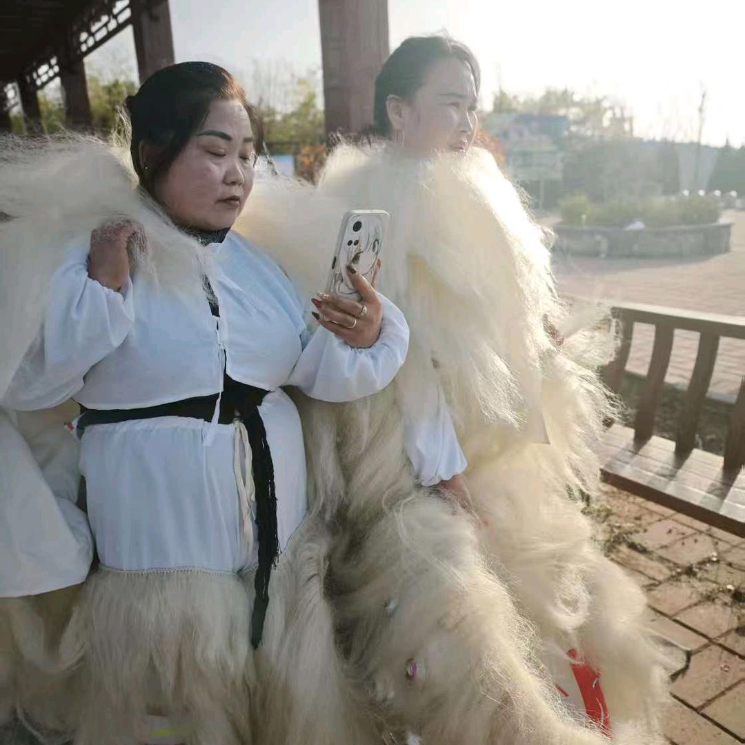 卢氏生命礼仪小白狮红红全国接单