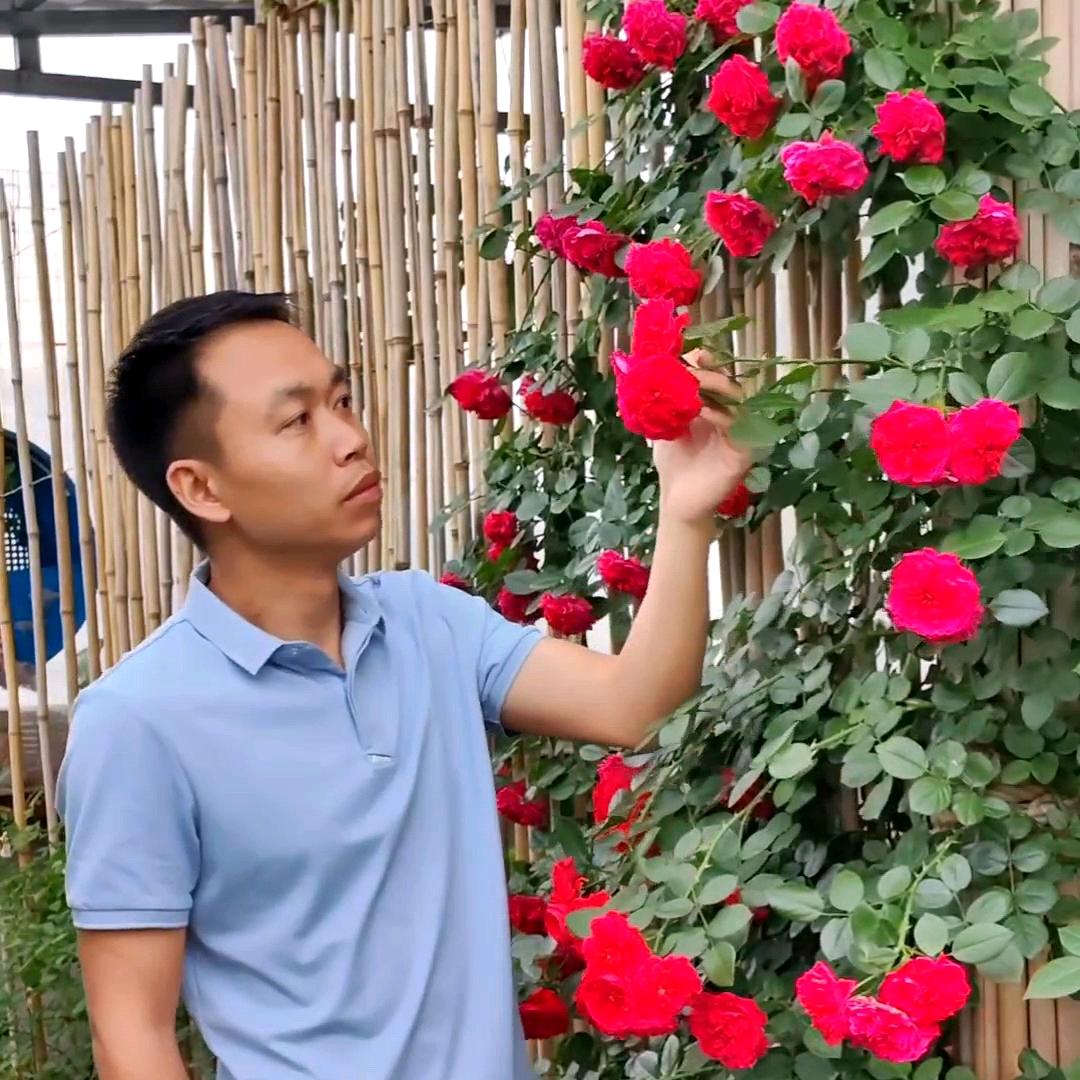 小马哥楼顶花园