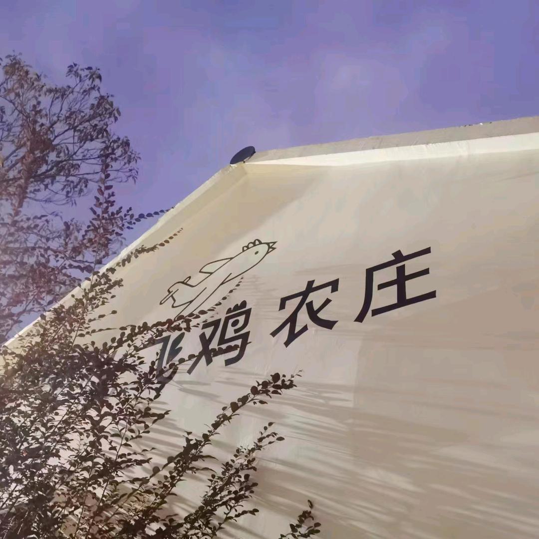飞鸡农庄