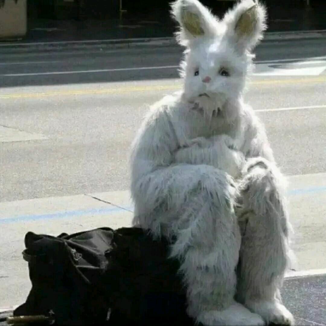 看一千次海🤟🏻.