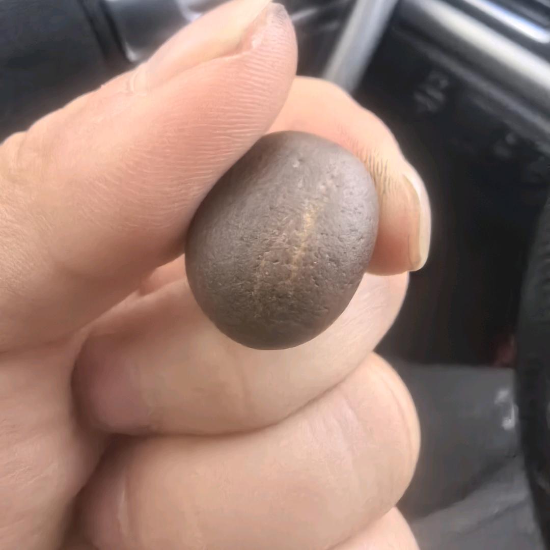 最美的遇见