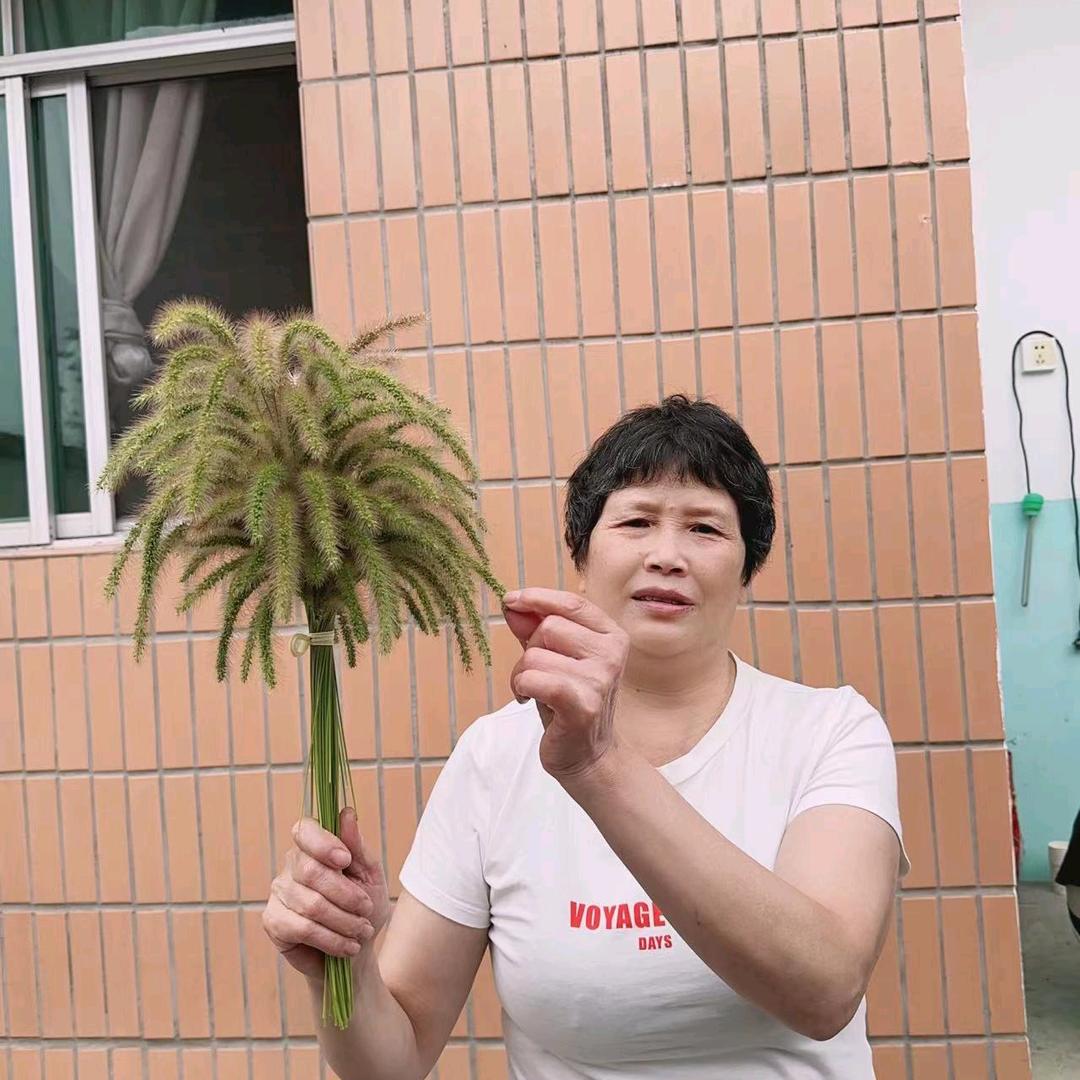 香姐