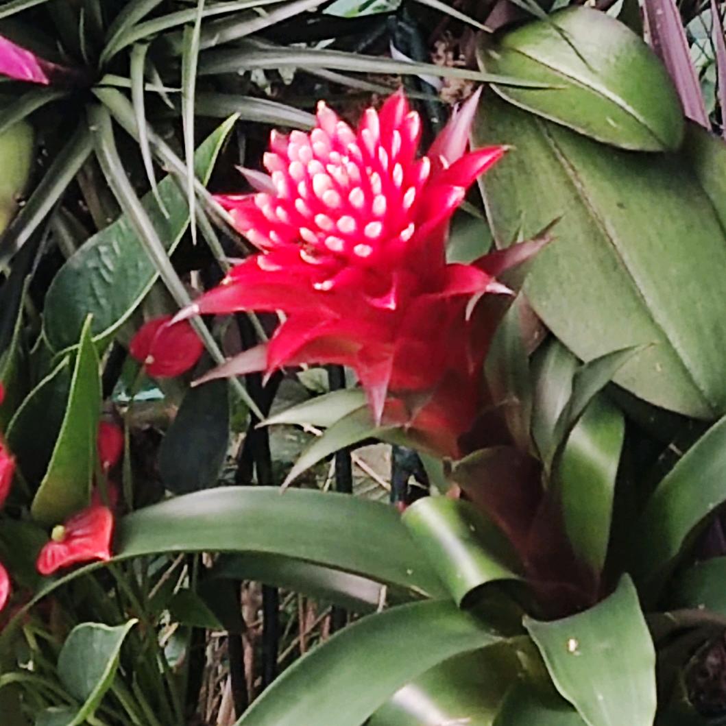 工作的时候称职务