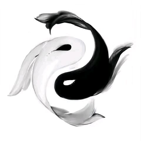 一介散修丶玄雨